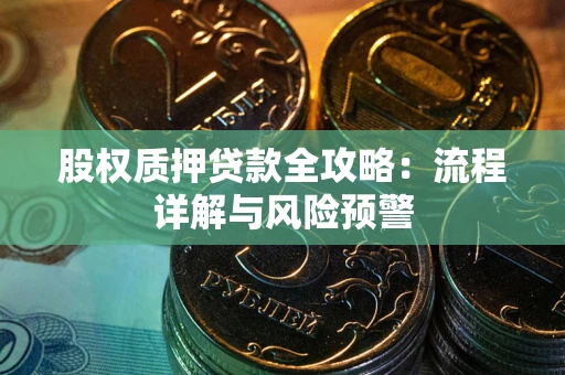武汉股权质押贷款全攻略：流程详解与风险预警