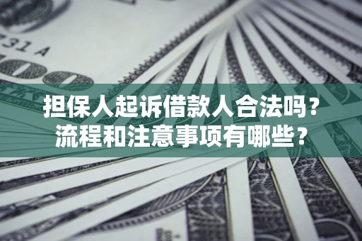 武汉担保人起诉借款人合法吗？流程和注意事项有哪些？