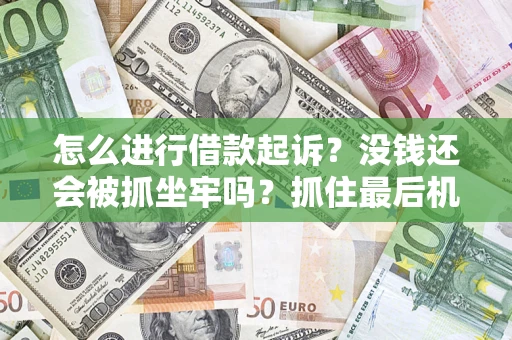 武汉怎么进行借款起诉？没钱还会被抓坐牢吗？抓住最后机会！