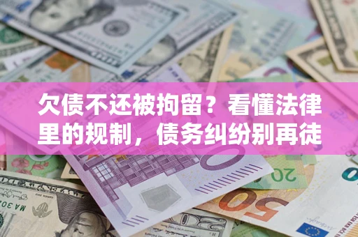 武汉欠债不还被拘留？看懂法律里的规制，债务纠纷别再徒劳奔波