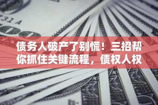 武汉债务人破产了别慌！三招帮你抓住关键流程，债权人权益不再缩水