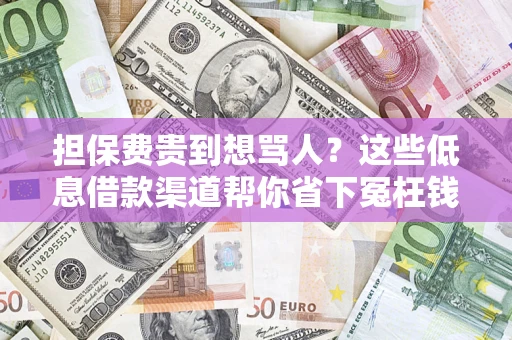 武汉担保费贵到想骂人？这些低息借款渠道帮你省下冤枉钱