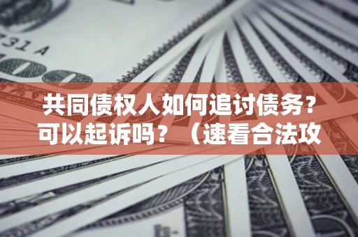 武汉共同债权人如何追讨债务？可以起诉吗？（速看合法攻略）