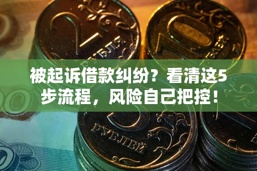 武汉被起诉借款纠纷？看清这5步流程，风险自己把控！
