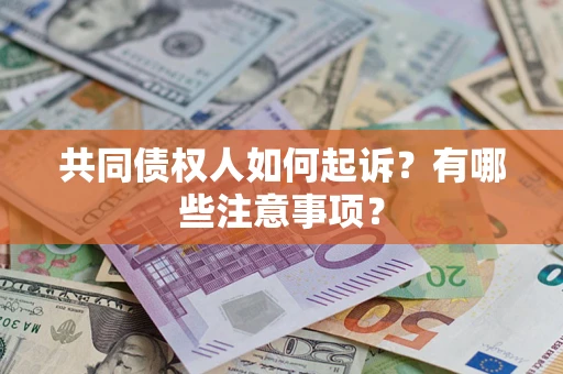 武汉共同债权人如何起诉？有哪些注意事项？